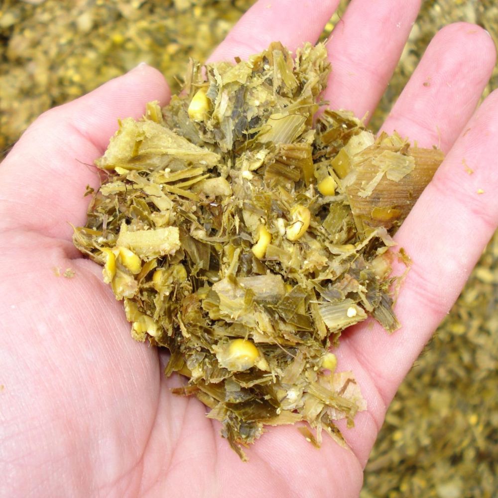 Maize Silage Salwa Himalayan Salt